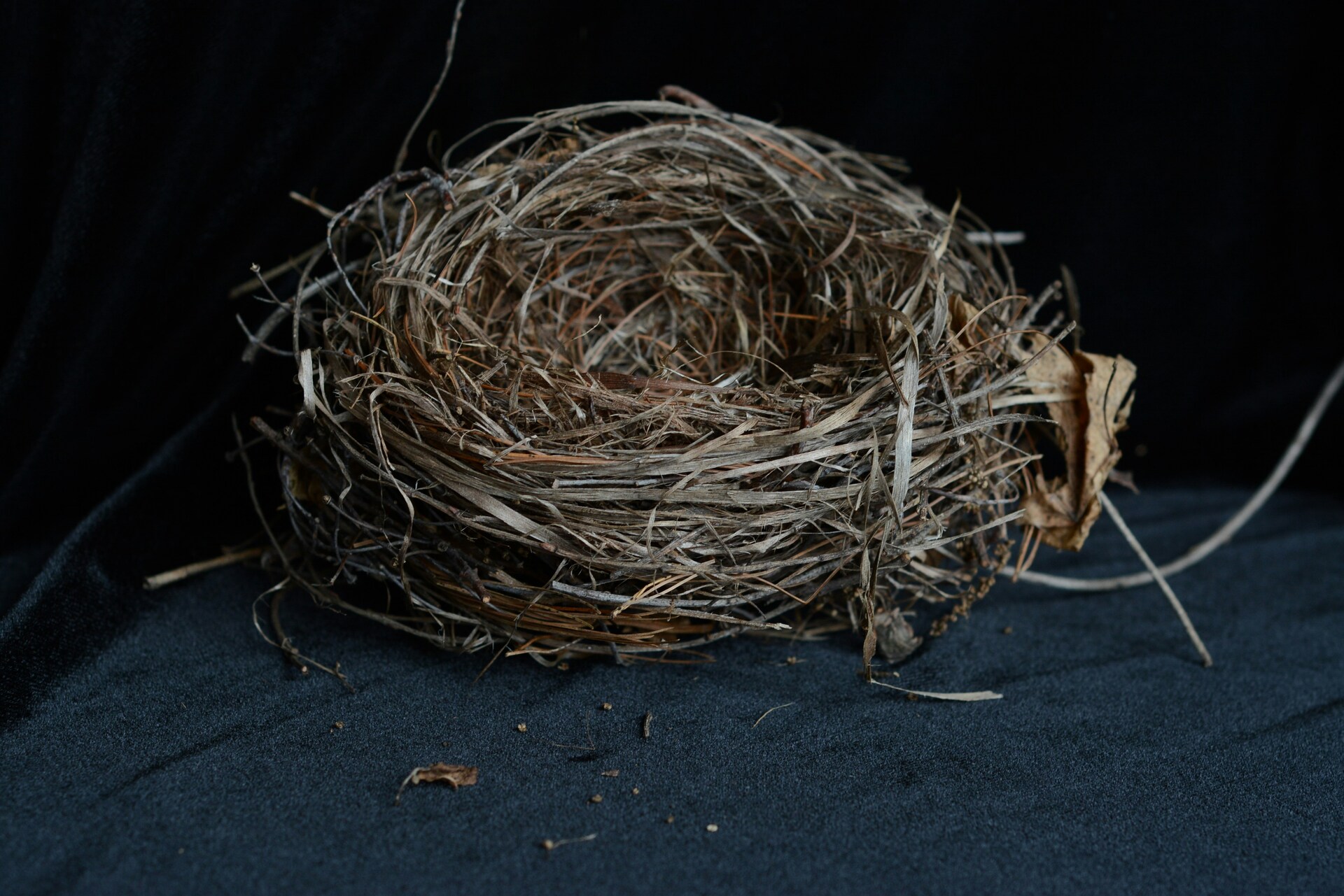 When the Nest Empties & the Career Ends