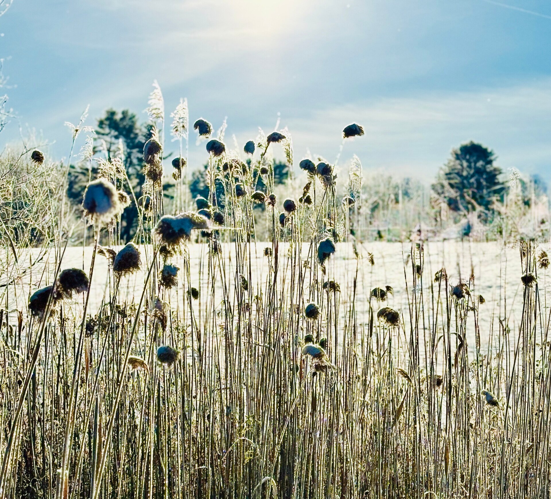 Dear Daybreak, 1/8/26