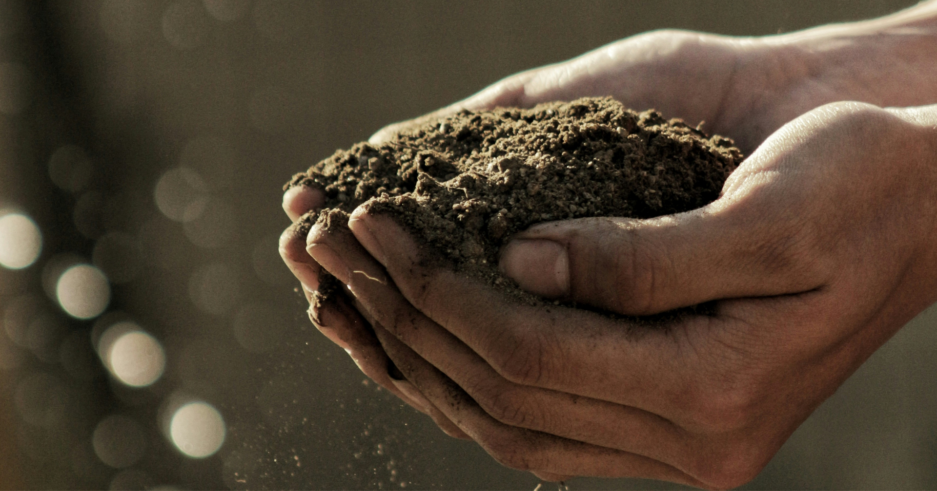 Expensive Dirt or Living Soil?
