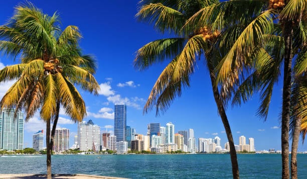 🚨 ESCAPE THE NYC WINTER – LAST-MINUTE MIAMI GETAWAY DEAL! 🌴✈️