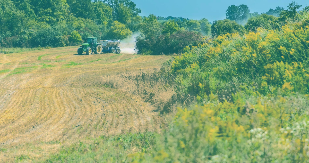 Carbon removal ground game