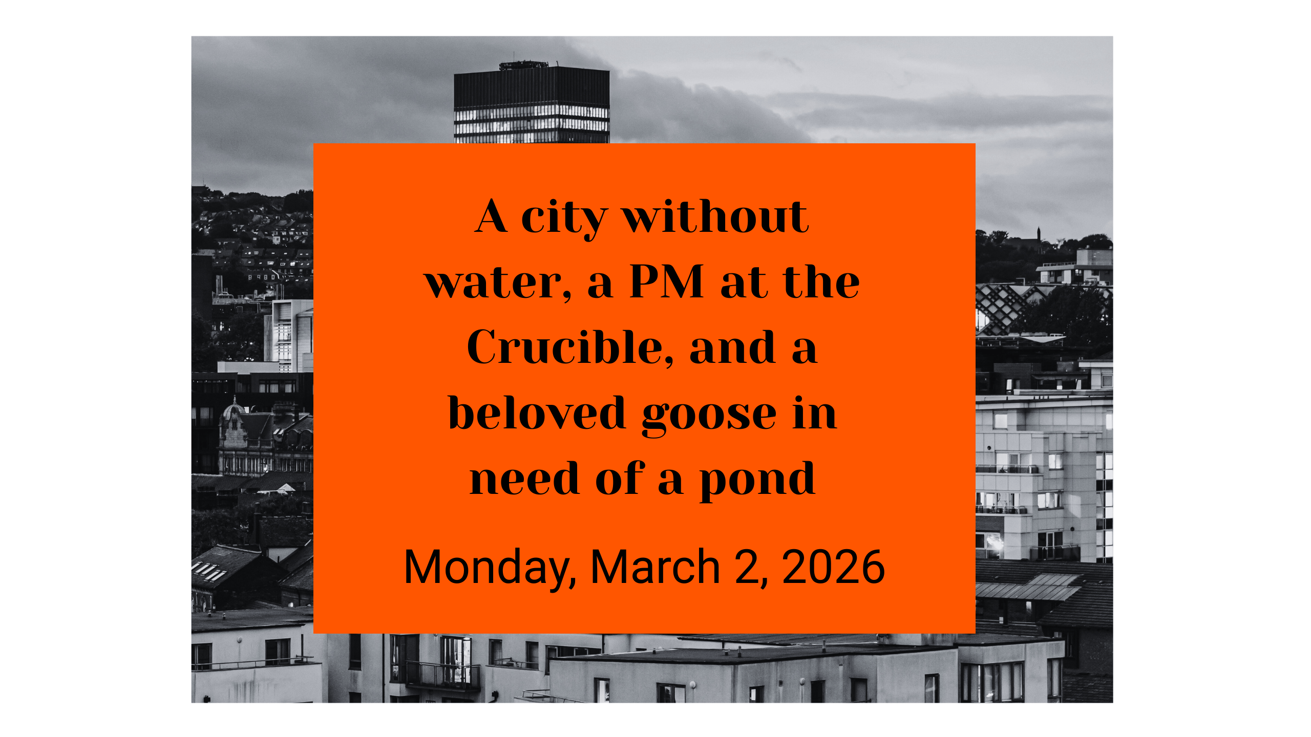 A city without water, a PM at the Crucible, and a beloved goose in need of a pond