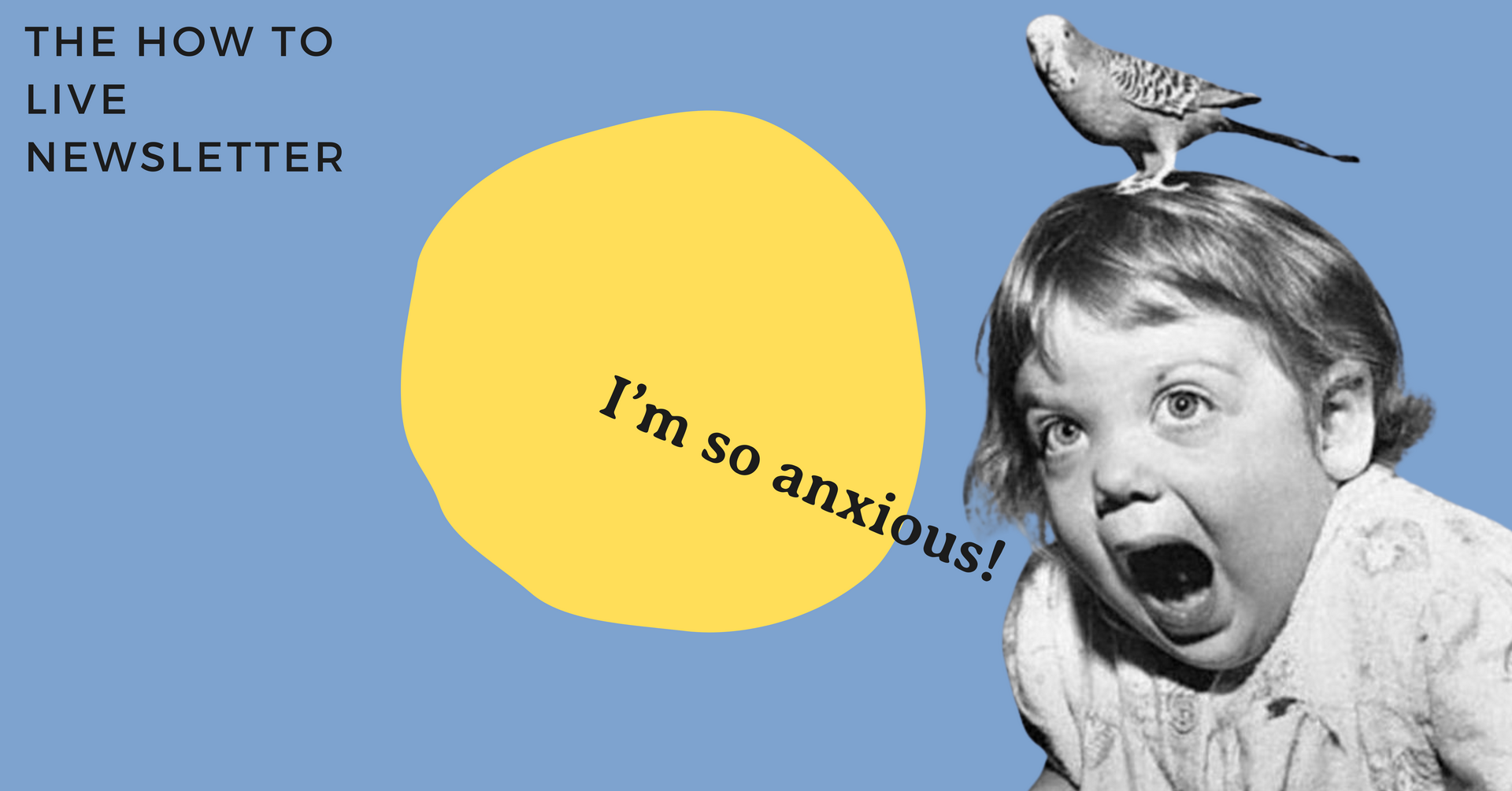 A Small Library of Comfort for Anxious Times