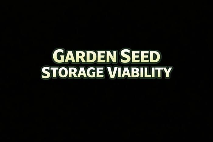 Garden Seed Storage