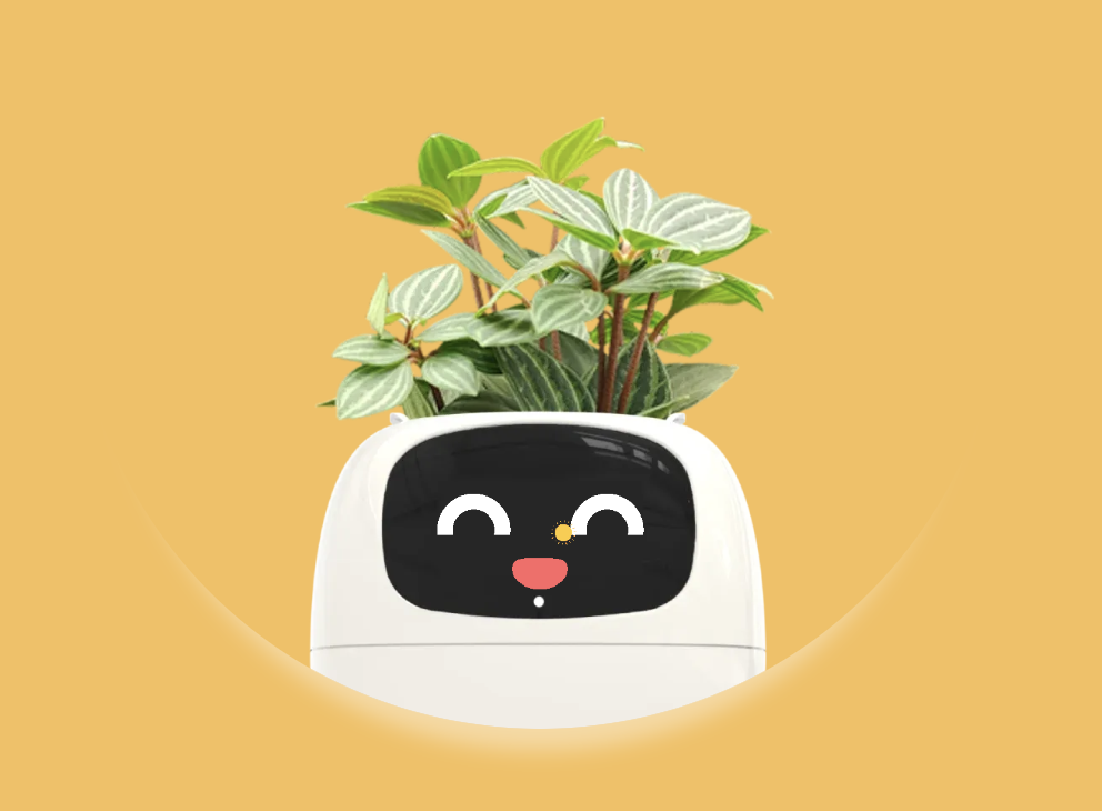 3x Team Productivity, Wellness Industry Deep Dive, B2B2C Books, and Builder's Week 04 Recap