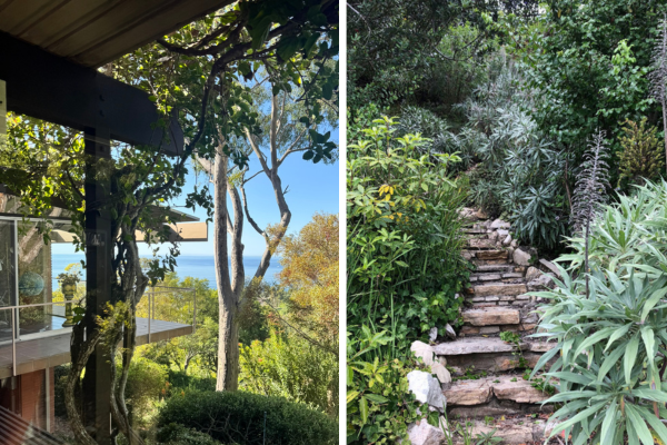 The Hidden Garden in Laguna Beach You Probably Didn’t Know Existed