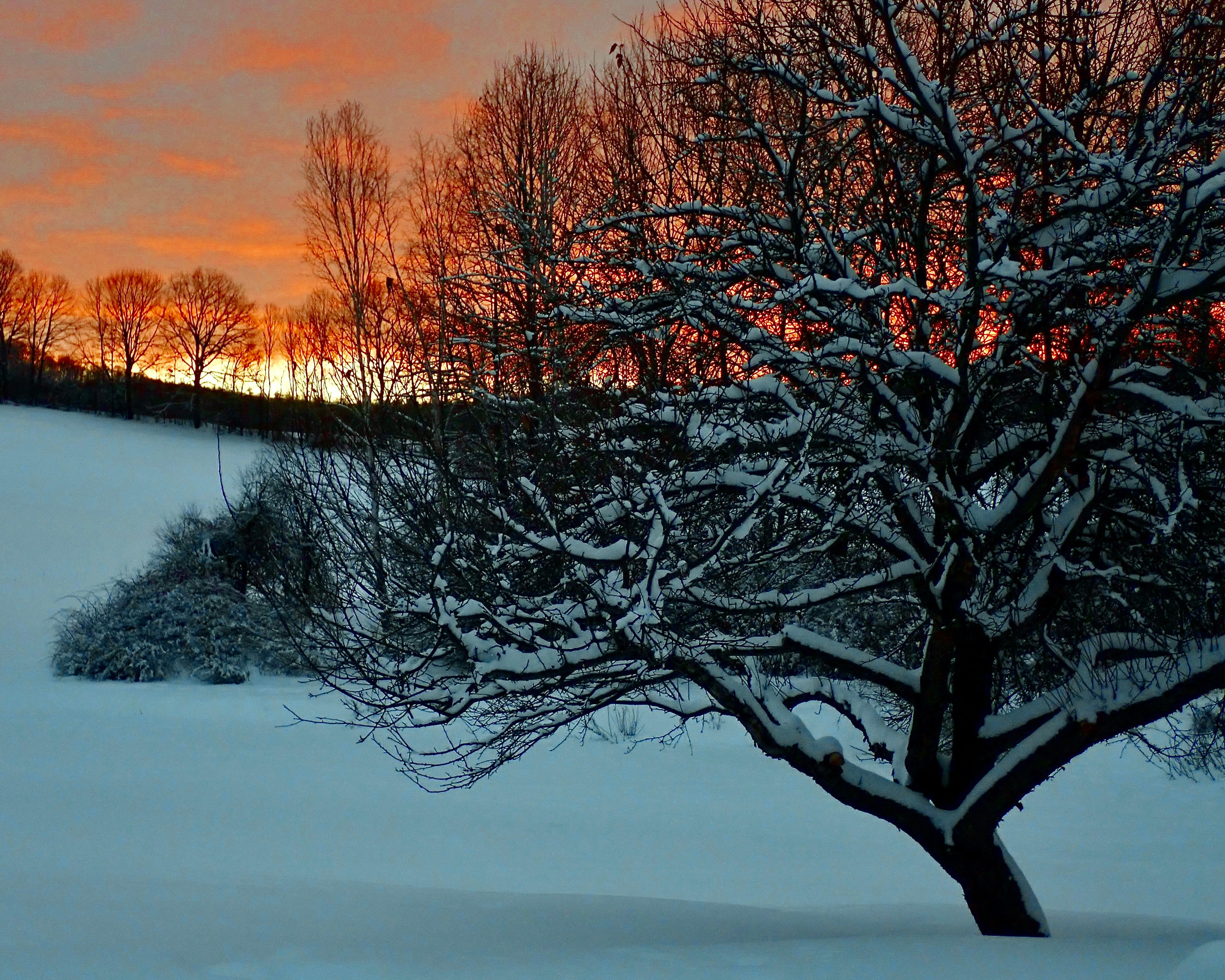 Dear Daybreak 2/26/26