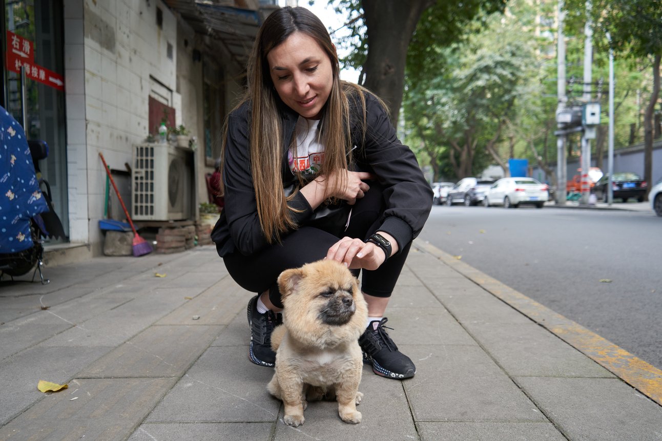 ¿Los chinos comen perros?🐶
