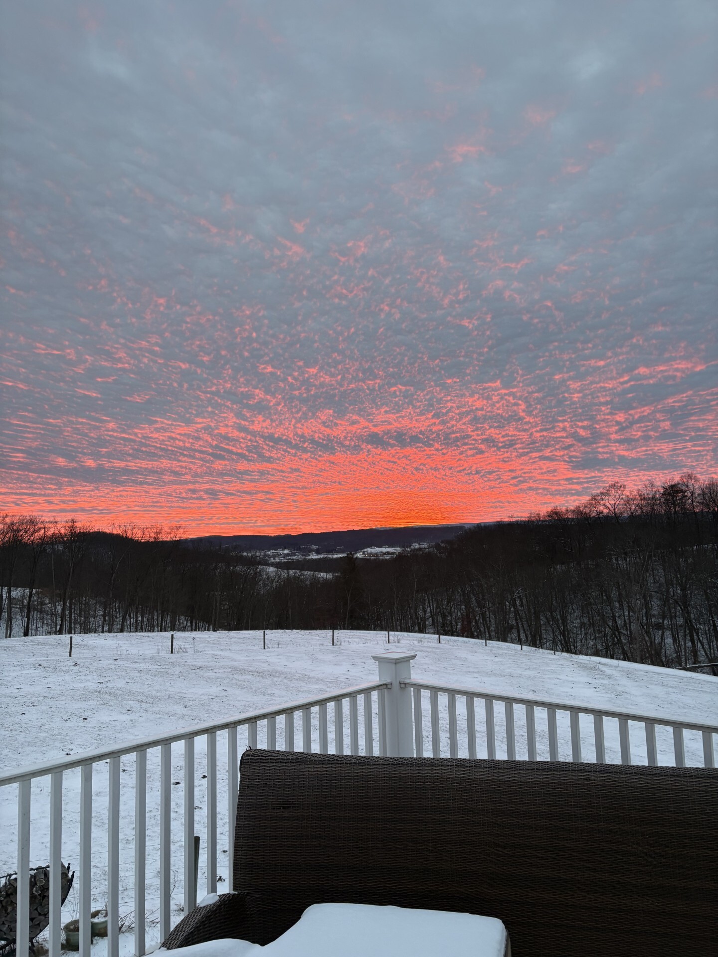 Welcome to Elevated Living 