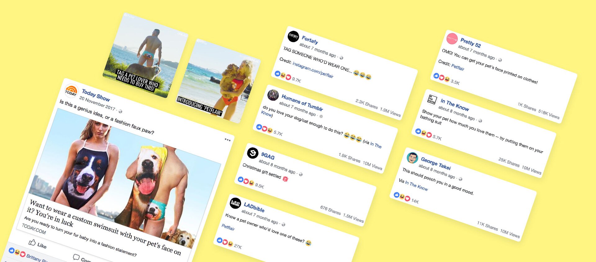 Lessons learnt from going viral