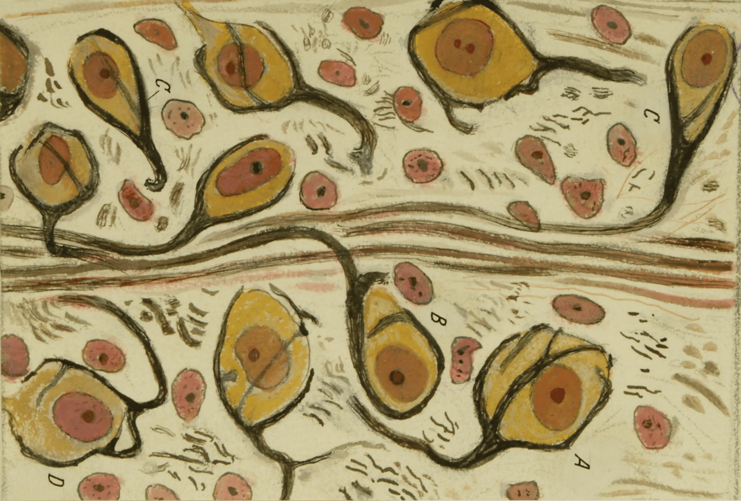 The machine and the maker