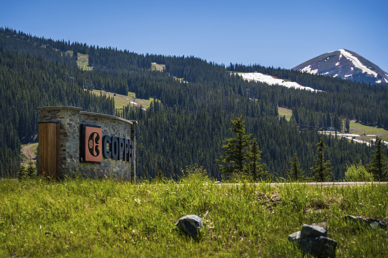 🐝What’s Up in Waco This Week?