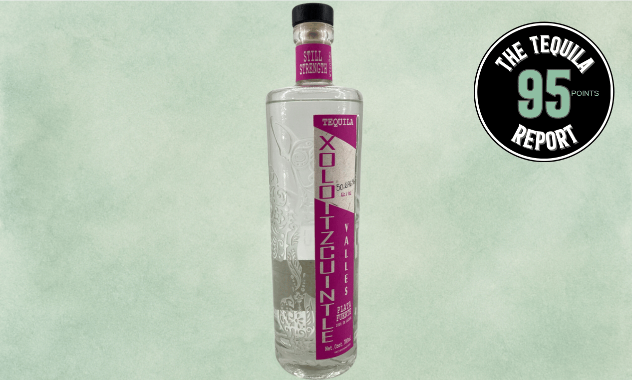 Xoloitzcuintle Plata Fuerte "Valles"