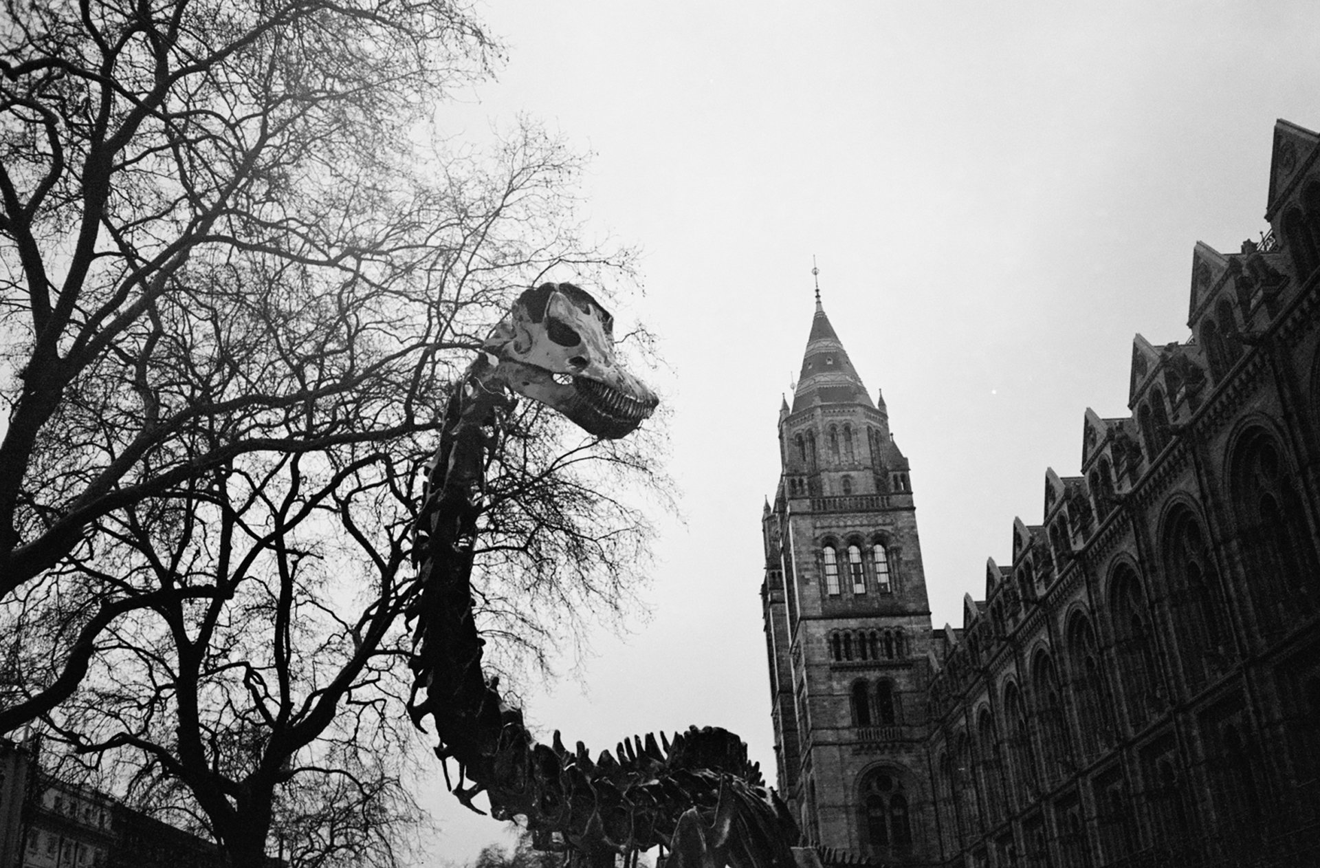 The minilab-friendly film for winter shooting