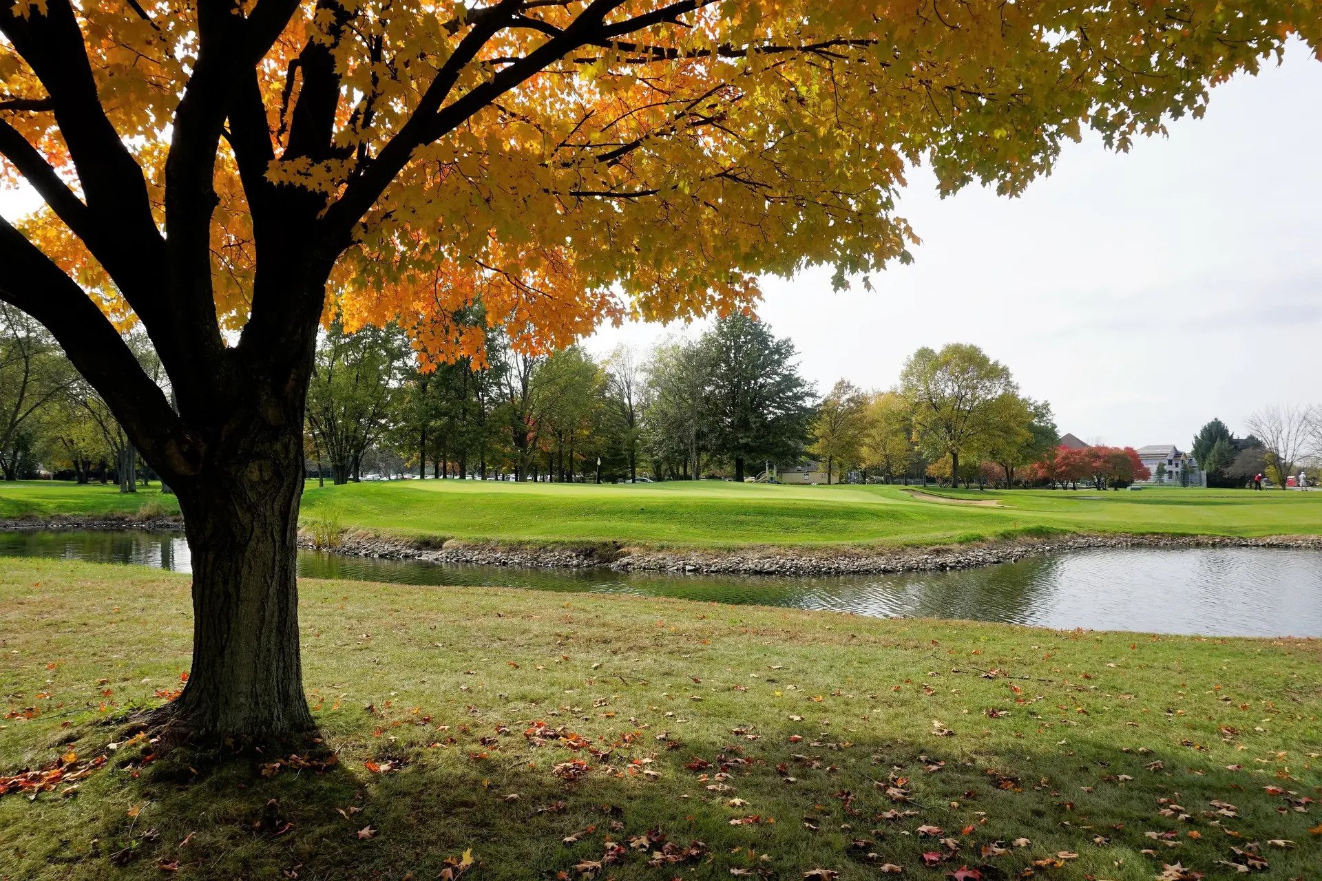 How to Explore NWI, for Nov. 17th, 2025