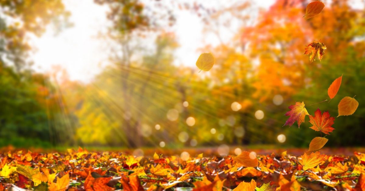Fall Events are Heating Up