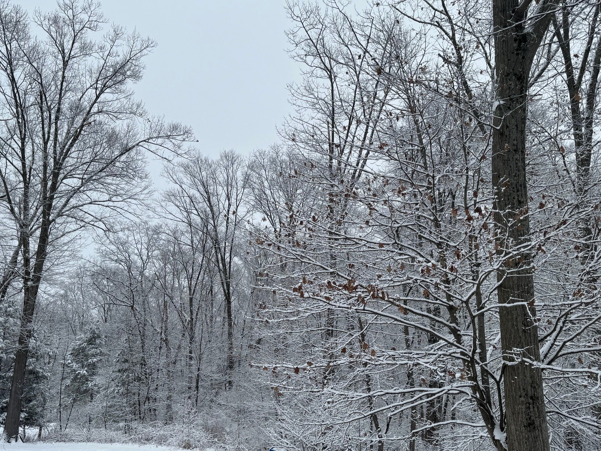 What's On This Weekend in Poughkeepsie (Dec 20-21)