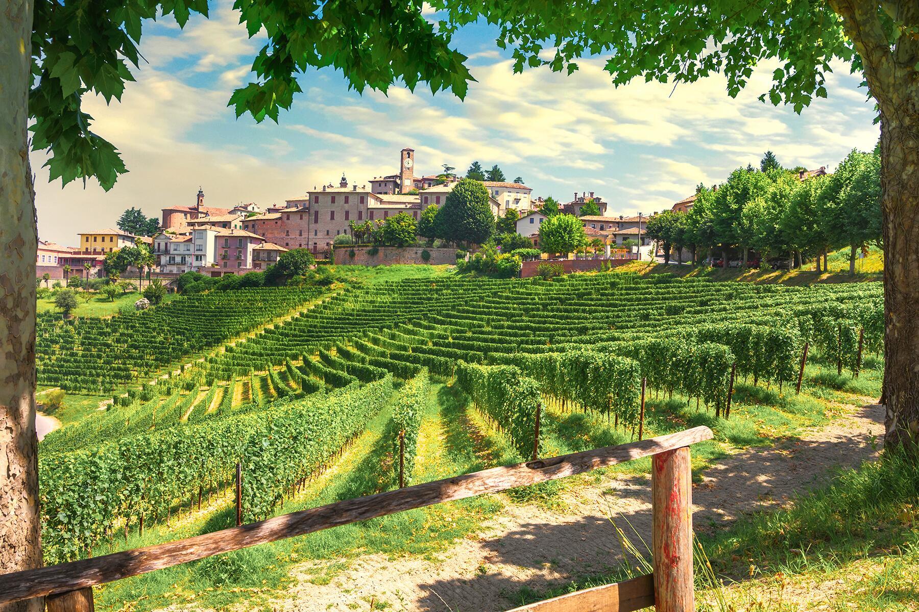 The Best Wine Regions of Europe, Best Wine Bars in Every State, The Guide to Sonoma Wine Country, and much more...