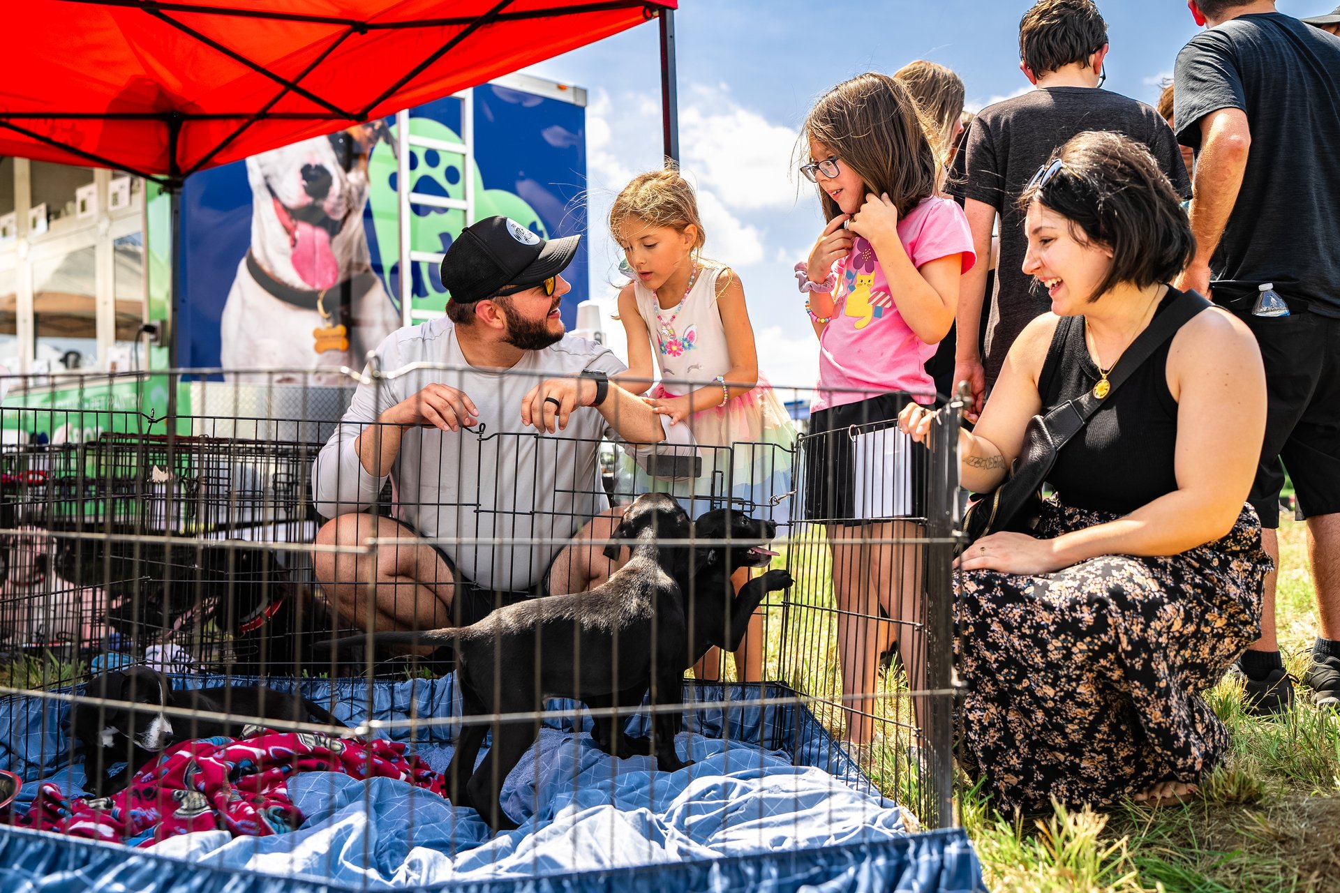Hundreds of Dogs and Cats Up for Adoption in Bentonville This Weekend