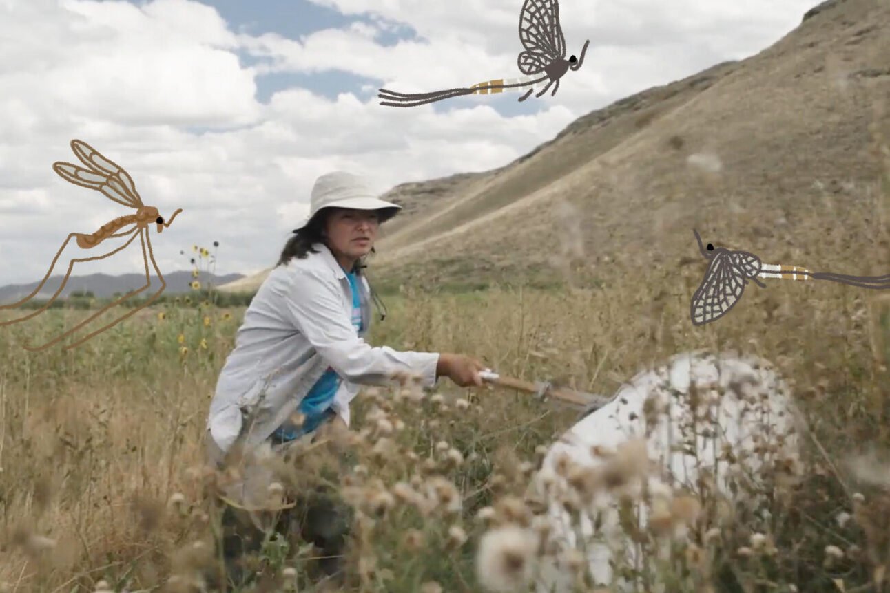 All The Cool Stuff Coming To Hulu In December 2023