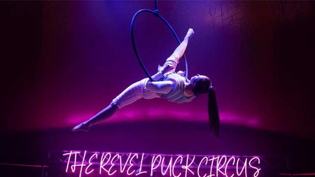 🎪 The circus is actually coming to town... 