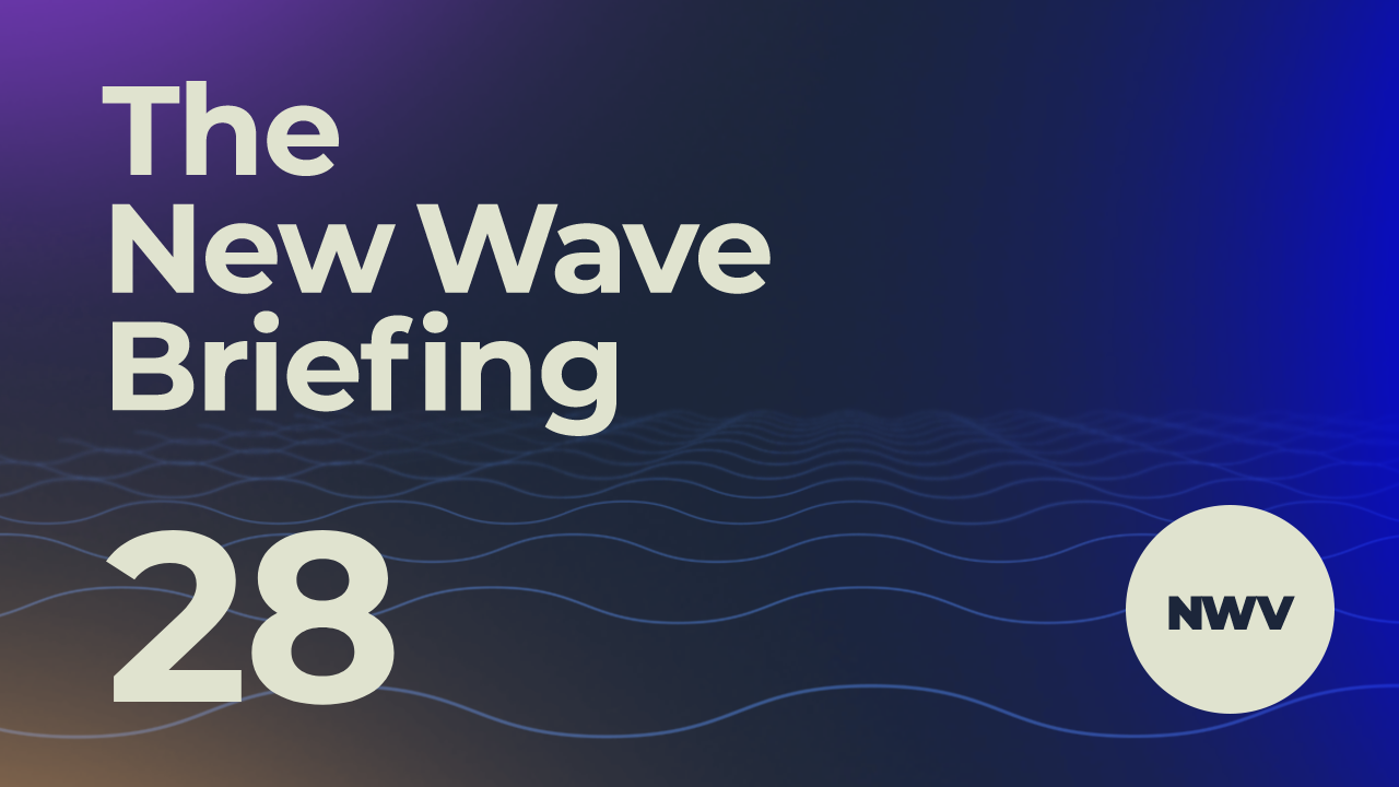 nwv brief #28: getting punched