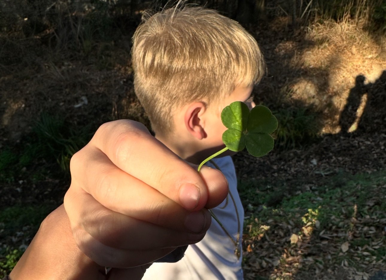 🌴 A Fiery Tree Lighting, Hazel Park and Lots of Food