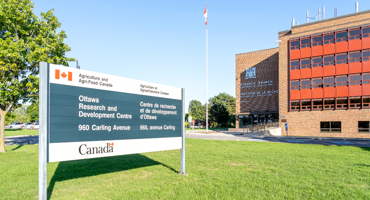 Food safety lab hit by public workforce shrinkage