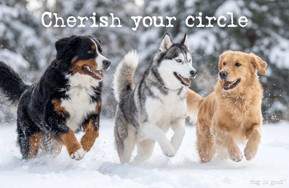 Cherish your circle.