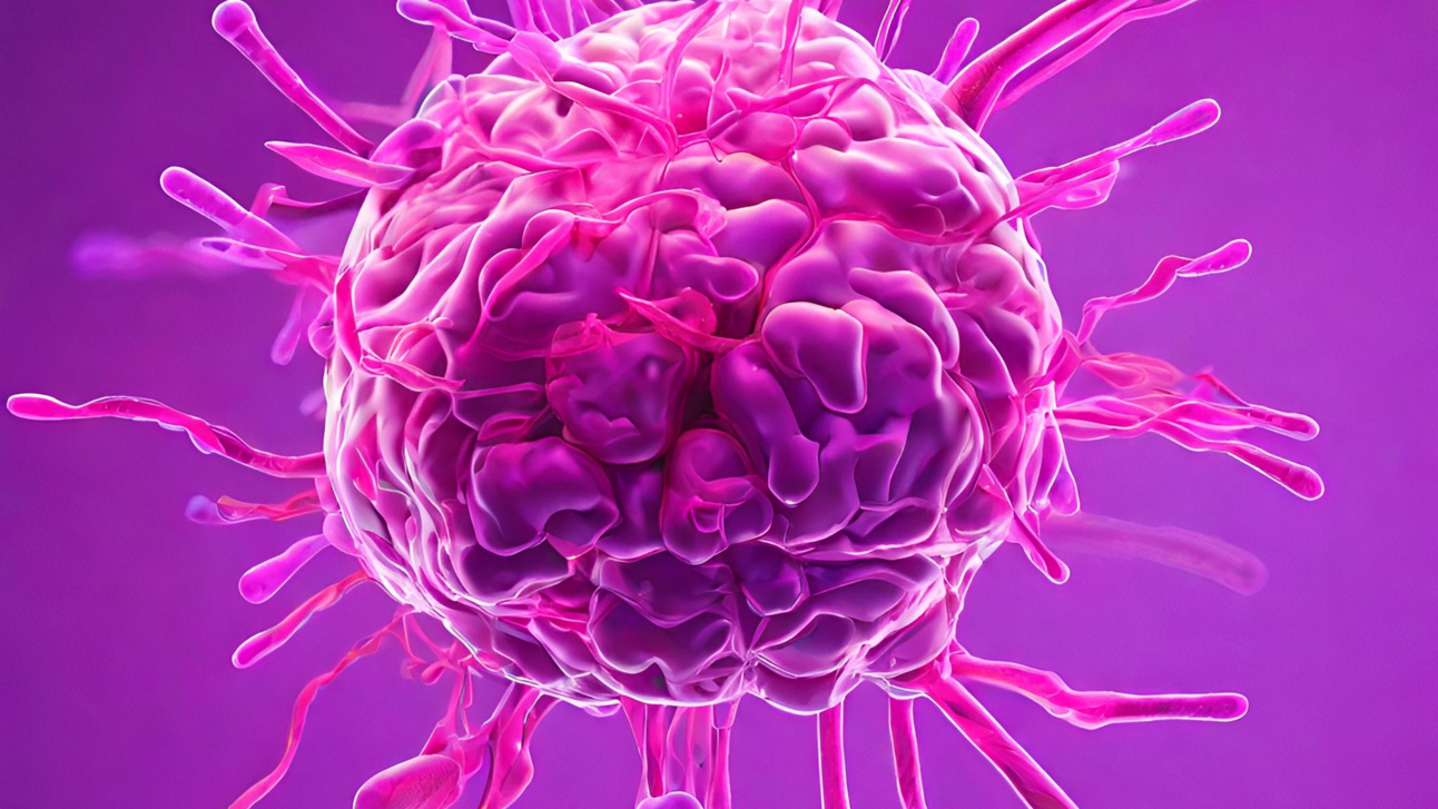 2024 Bitcoin Predictions: Rally to $500,000?