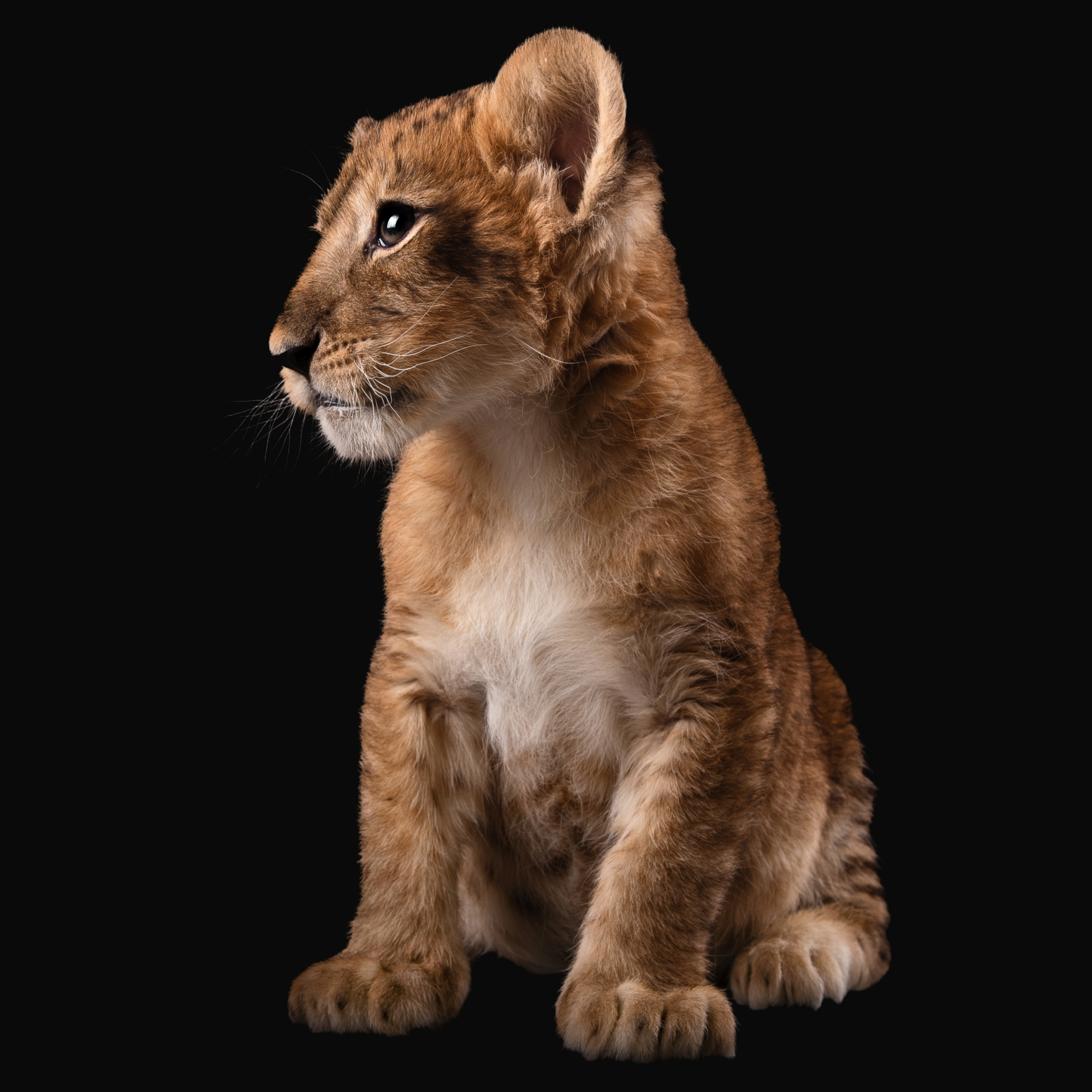 I took a photo walk a couple of days ago. I didn’t bring home too many photos. This view caught my eye despite its randomness. I was happy to found a place where there was just one color in the frame :)