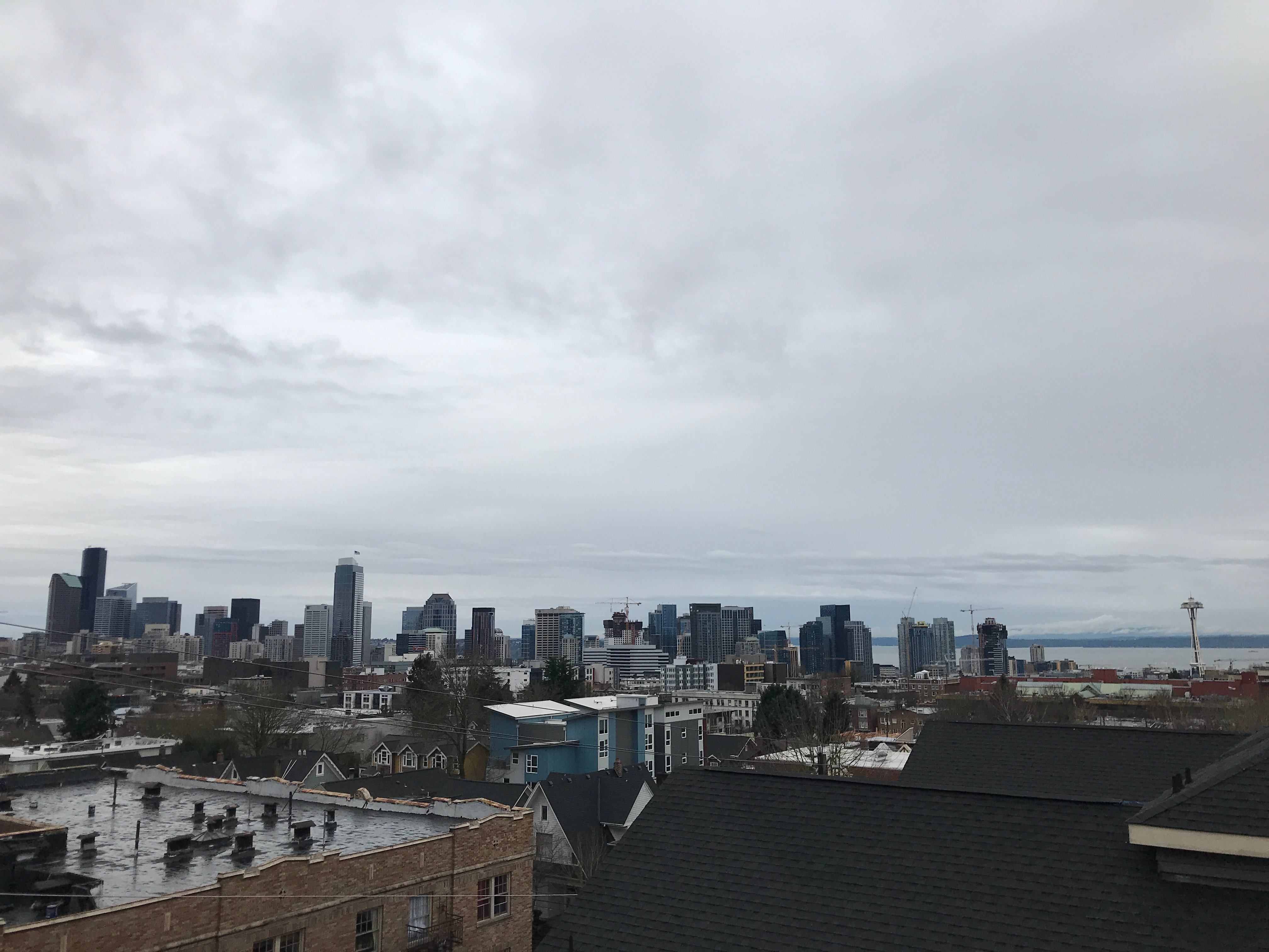 The Weekly Drizzle