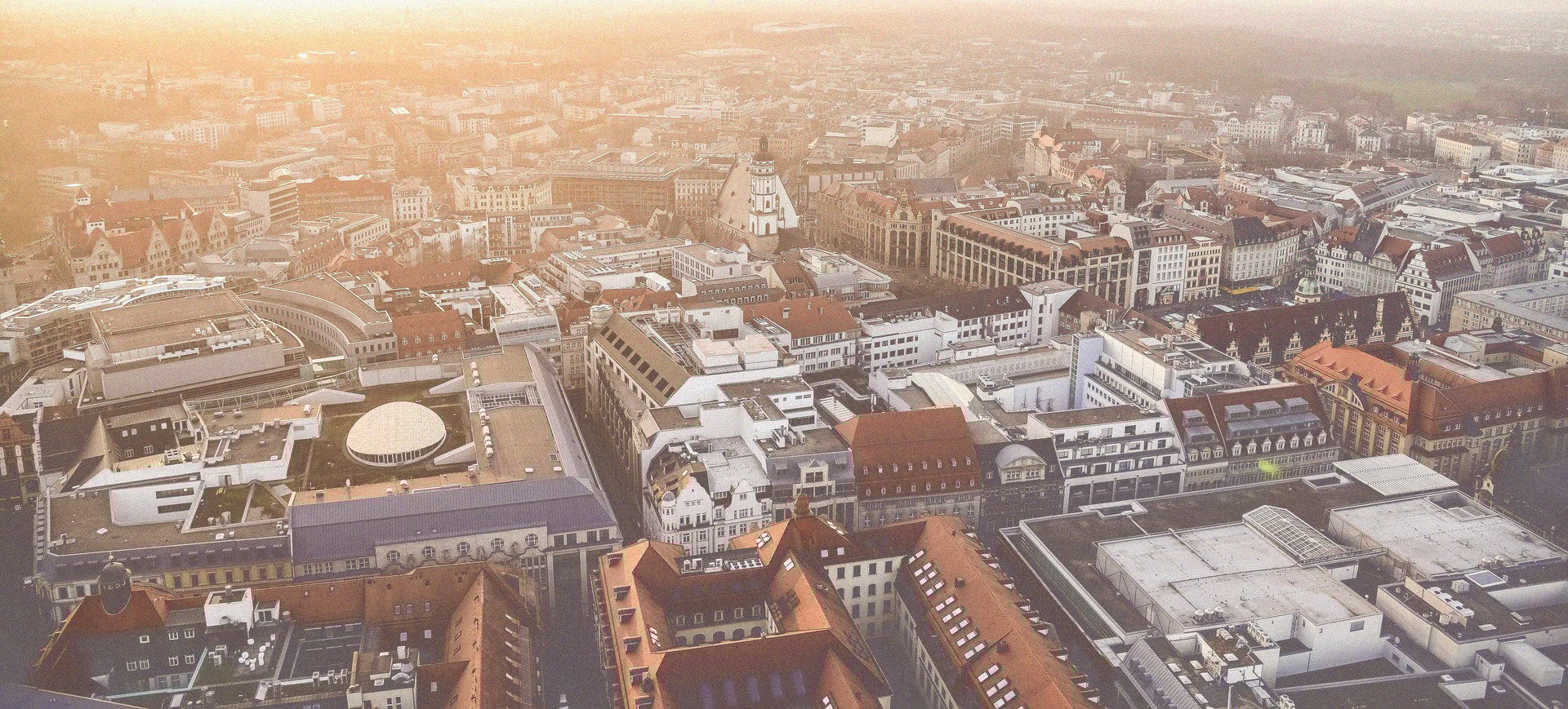 How Working in Leipzig Taught Me That Professional Growth Requires Being Slightly Annoying