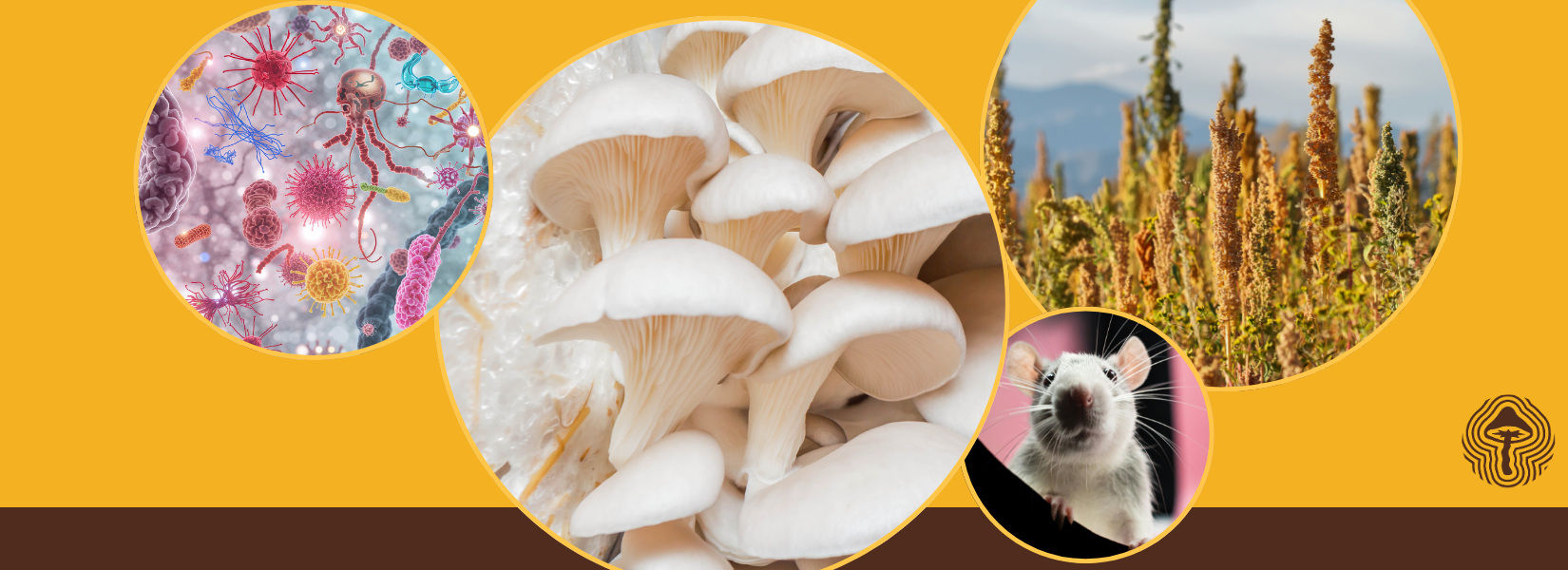 Early Oyster Power, Gut Health Boosts, and Fungi vs. Superbugs