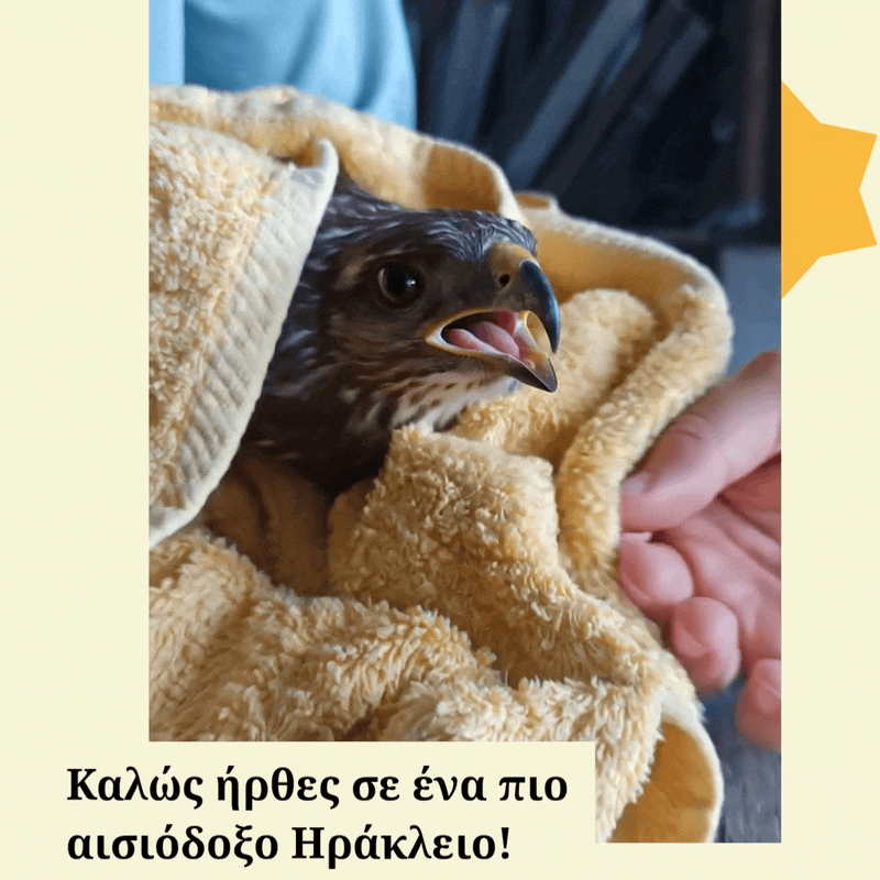 To νερό εξ ουρανού μας έσωσε ☂️