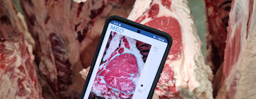 Objective Meat Grading Technology: State of the Industry