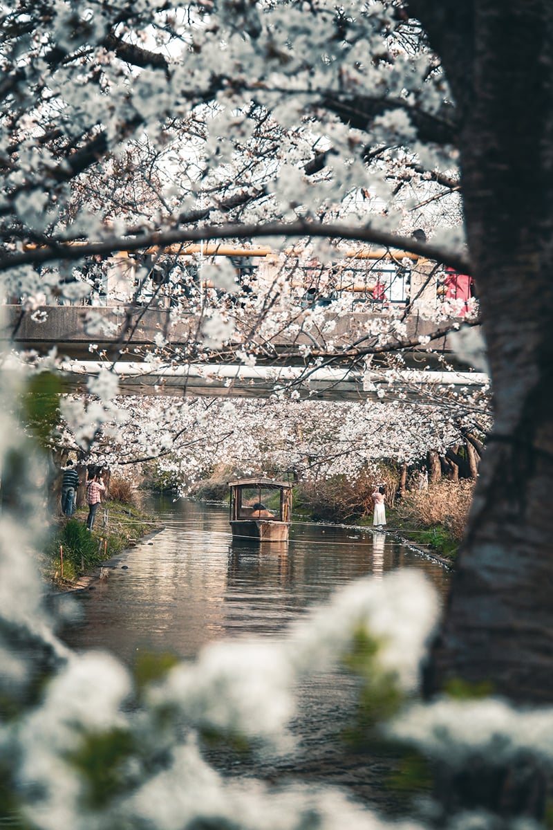 The Weight of Presence