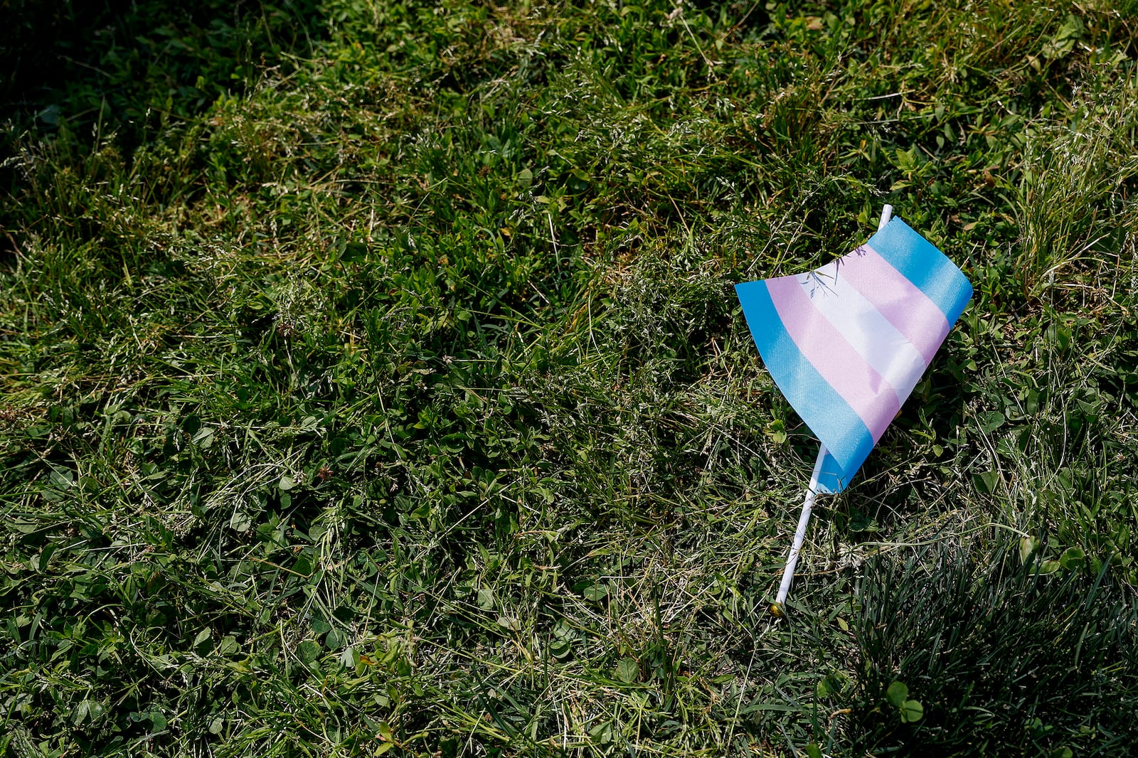 Where parental rights begin and end