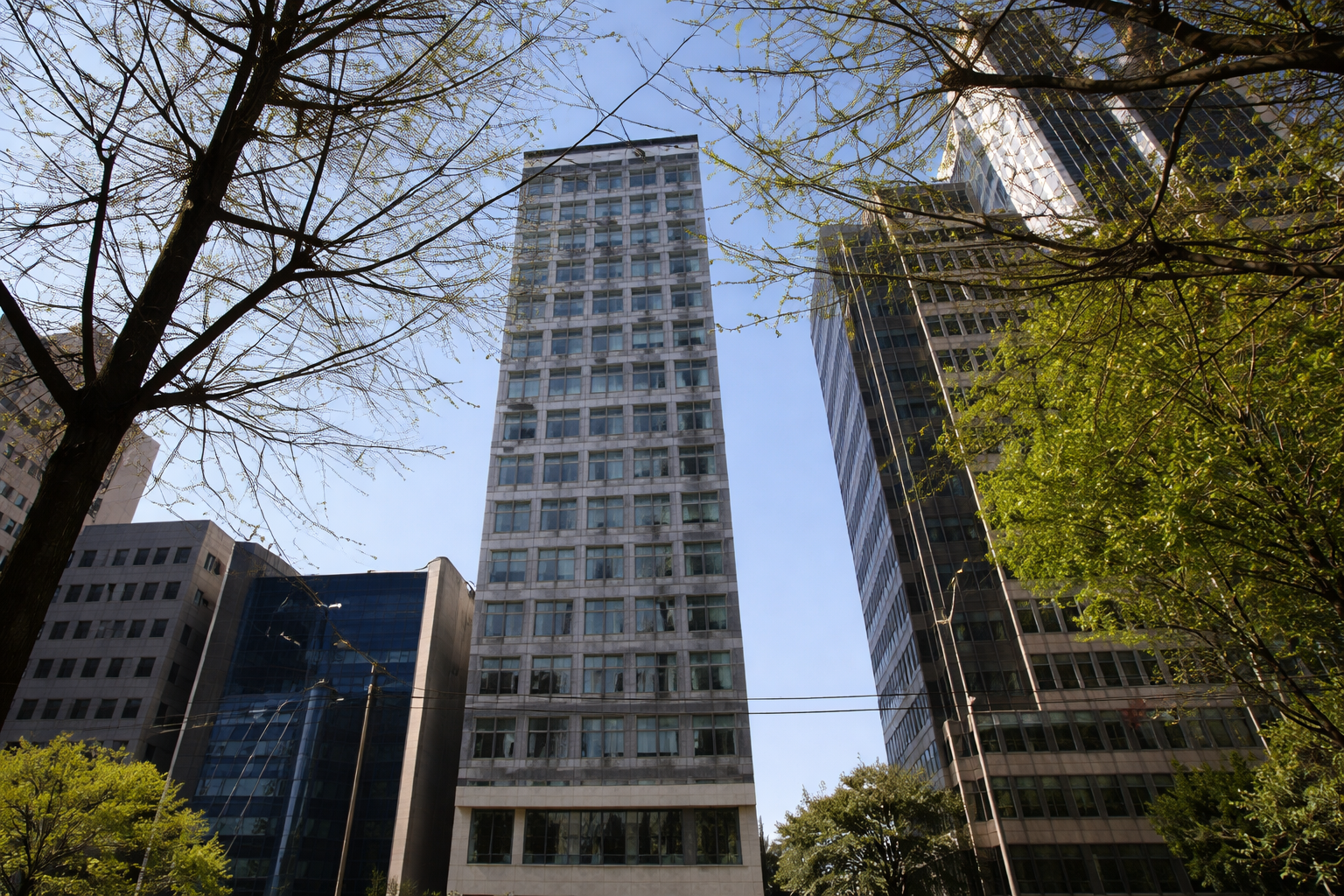 ☕️instant chicken