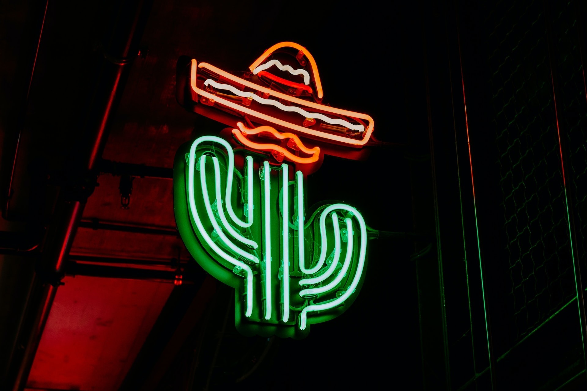 Voodoo Neon: The Mesmerizing Craftsmanship Behind America’s Top Neon Creation Studio