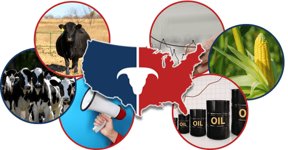 CATTLEUSA DRIVE - Tuesday, April 21st