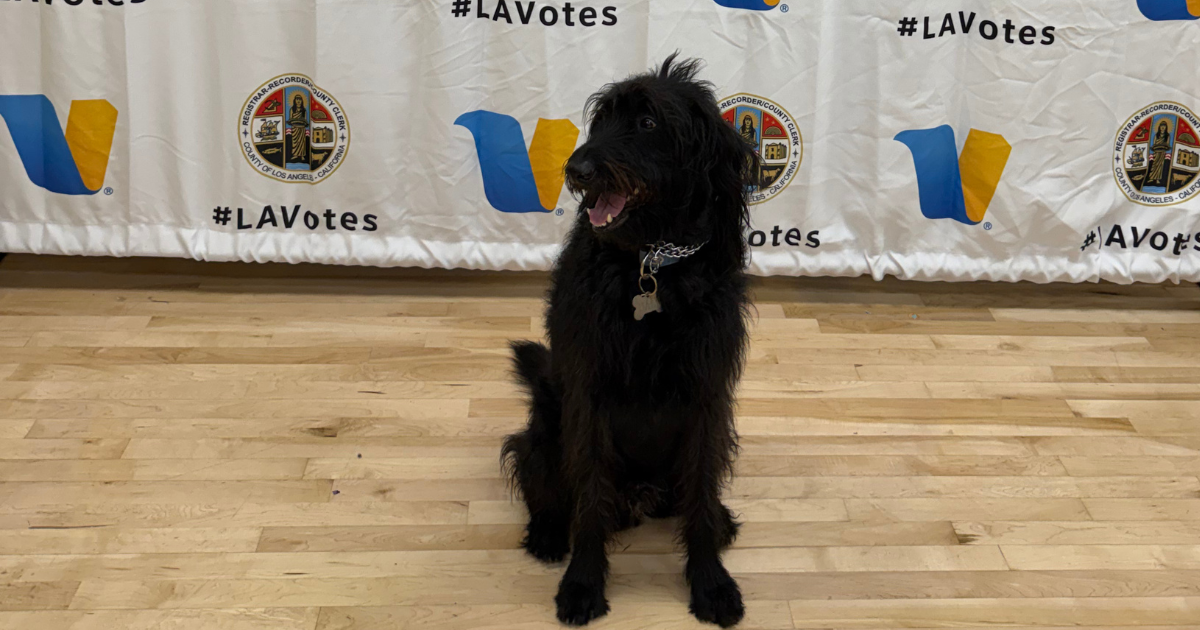 A Good Day for Democracy