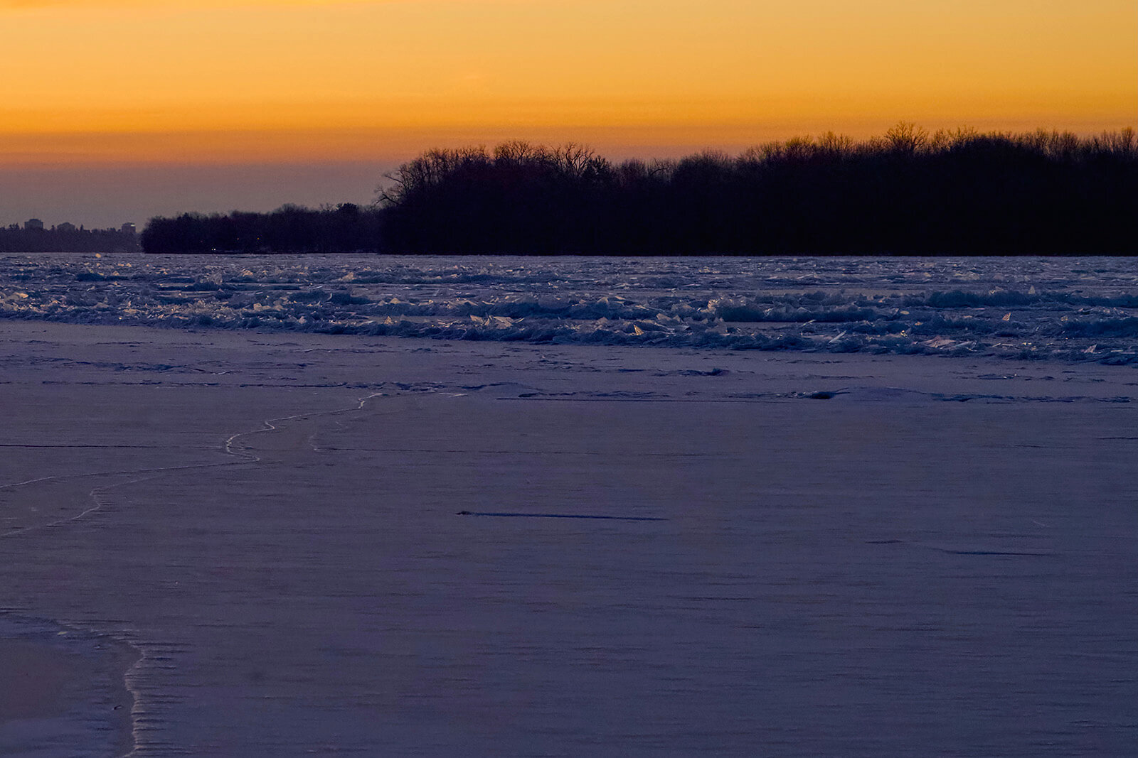 Edition no.46 - Jan 22, 2026