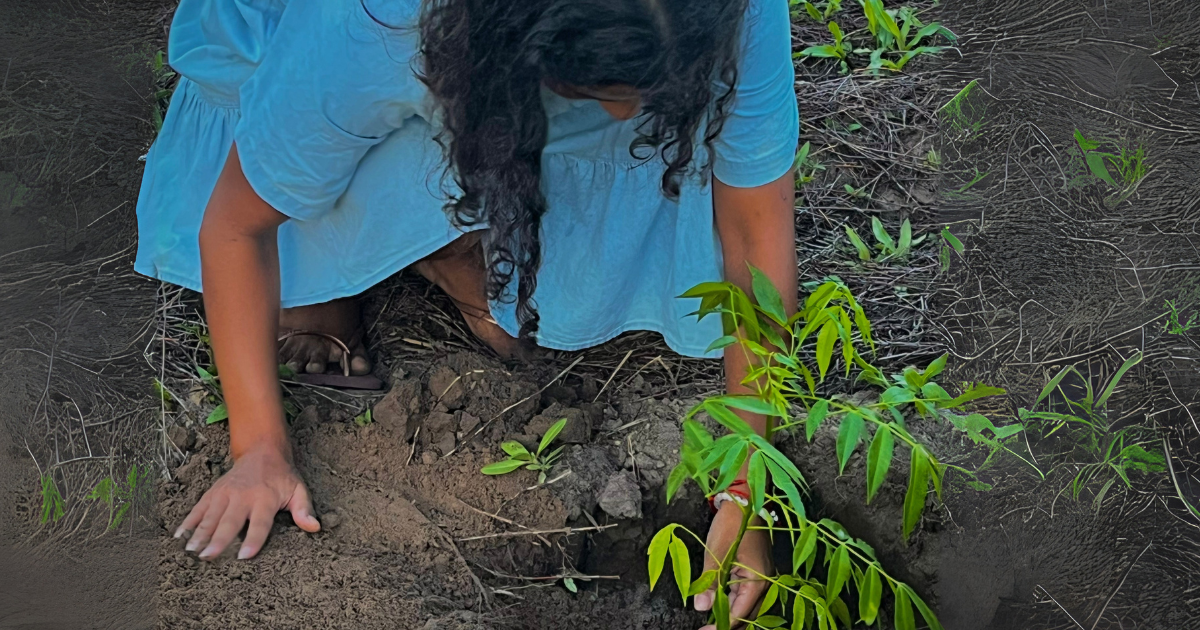 20 de janeiro de 2024.