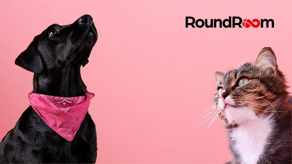 Rescues Rock: Verizon Franchise Powers Paws-itive Change With $10,000 Grant and Pet Adoption Event