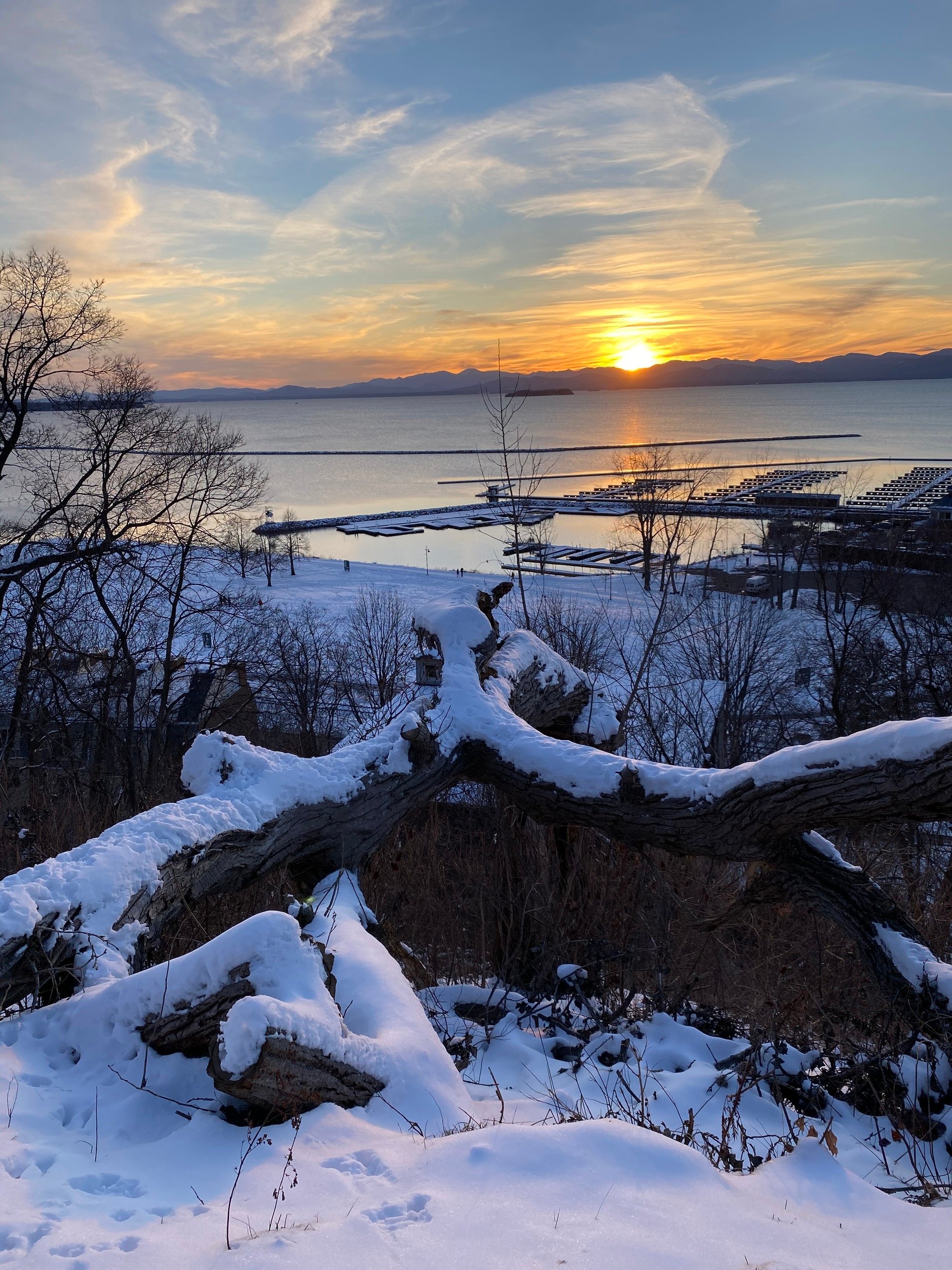 Monday, November 10th