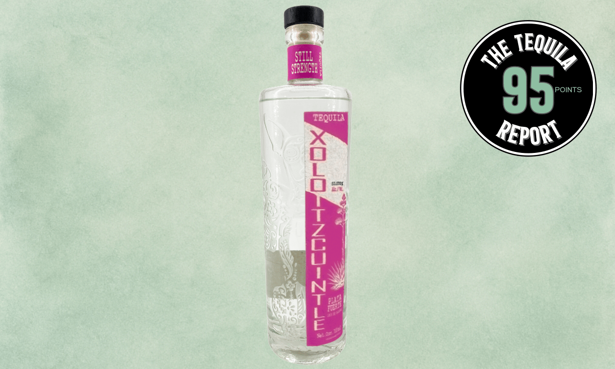 Xoloitzcuintle Plata Fuerte "Quiote"