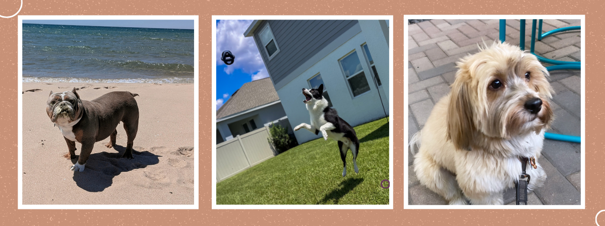 What Customers Are Saying (and why it matters)