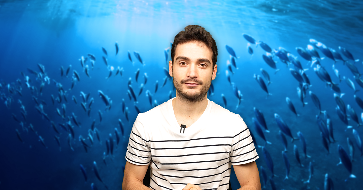 Et si... on mangeait enfin tout le poisson pêché en France ?