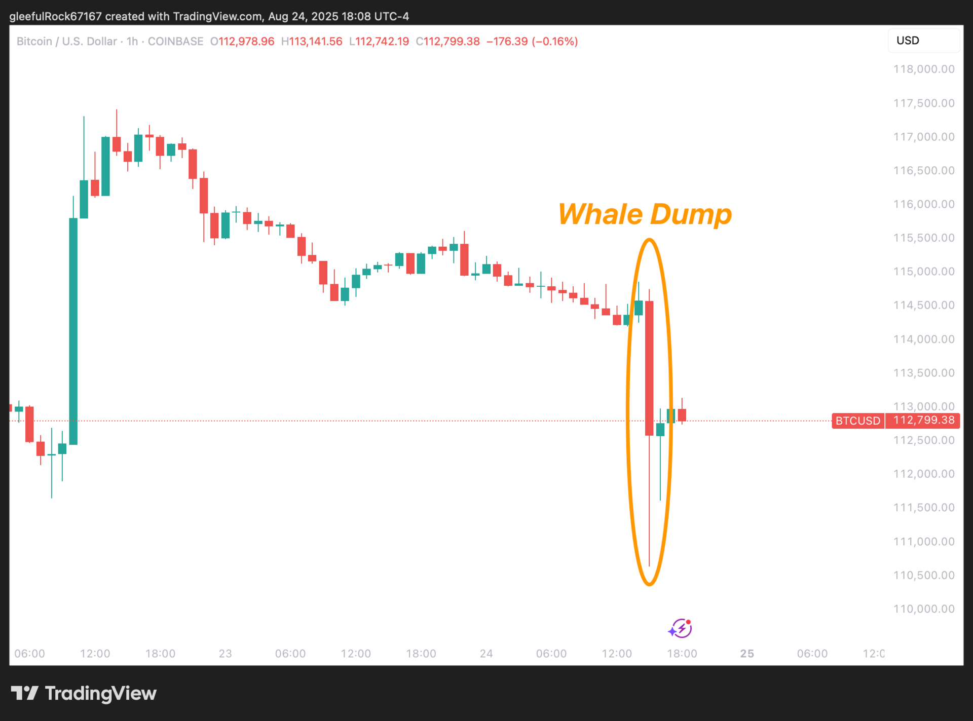 Whale Games Trigger $4K Bitcoin Flash Crash, But Retail Keeps Stacking